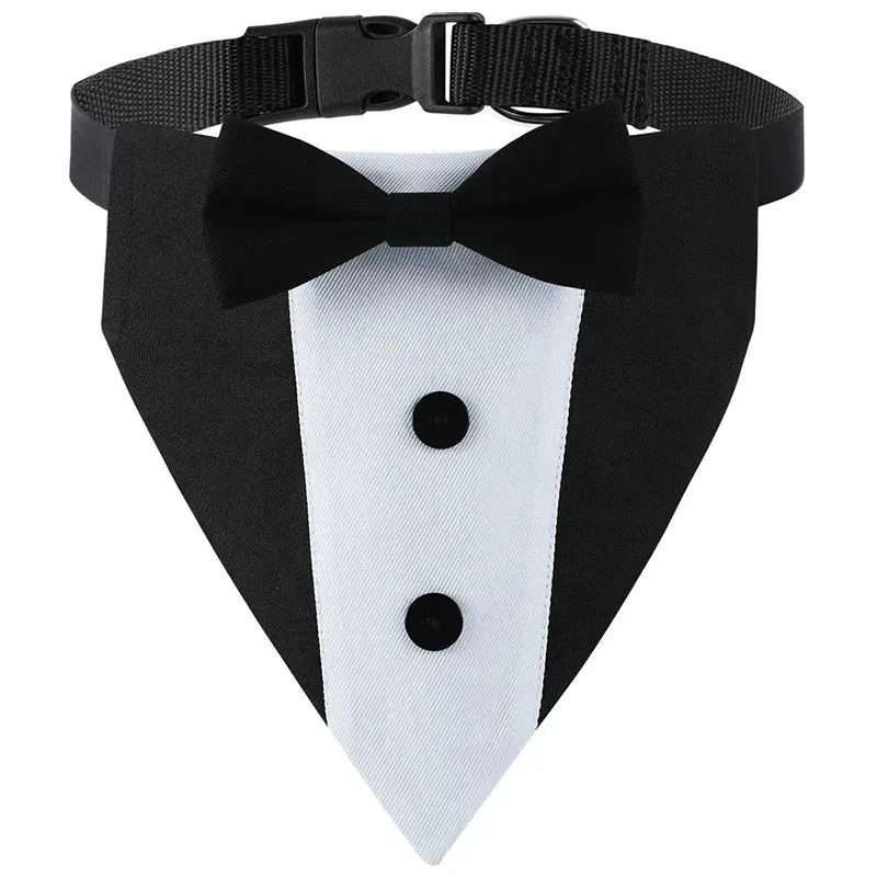 Collier Nœud Papillon Élégant Gros Chien