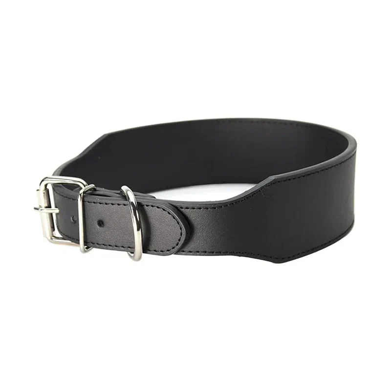 Collier Chien Réglable Confortable Multicolore