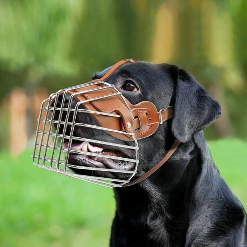 Muselière Chien Anti-Morsure en Fil Métallique Grand Chien