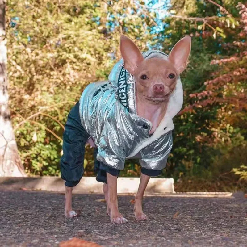 Manteau Imperméable Chien Combinaison Argentée Chihuahua