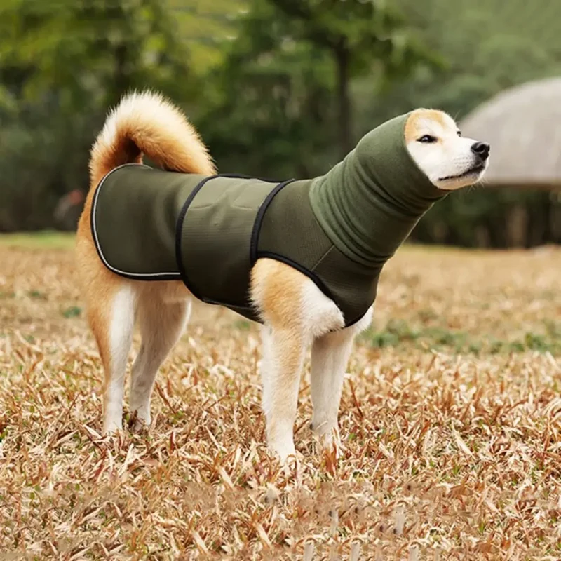 Enveloppe Apaisante Anti-Stress Élastique Coupe-Vent Chien