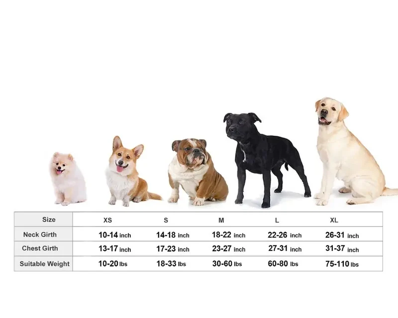 Vêtement Apaisant Anti-Anxiété Petit à Gros Chien 4,5 à 50 kg