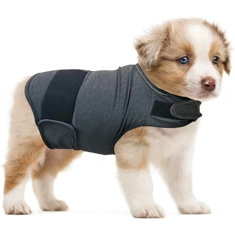 Vêtement Apaisant Anti-Anxiété Respirant Chien Orage 40 kg