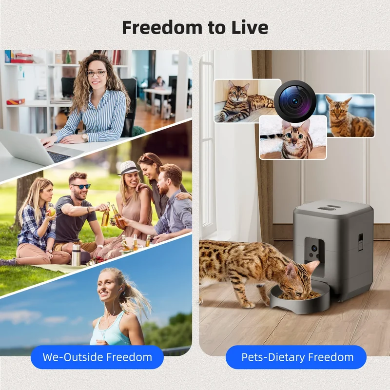 Distributeur de Croquettes 2 L Caméra Petit Chien et Chat