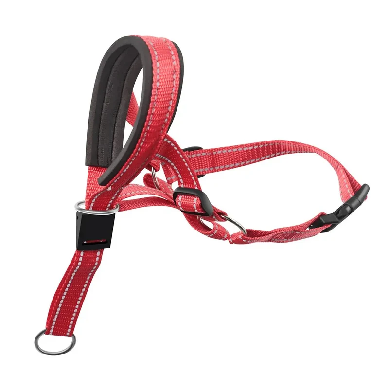 Collier Licol Anti-Traction Dressage Molosse