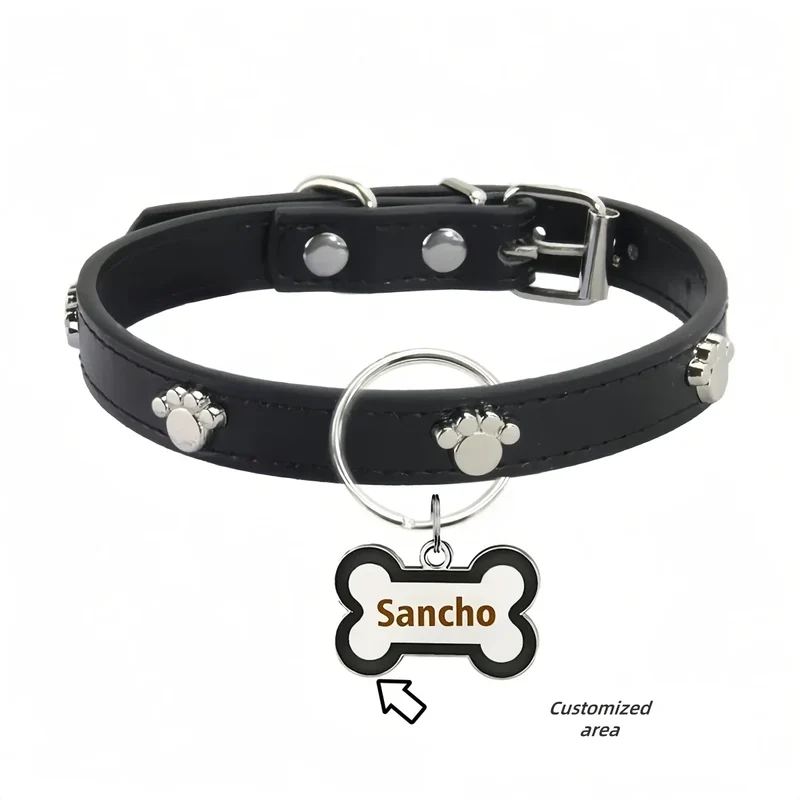 Collier Médaille Personnalisable Identification Chien