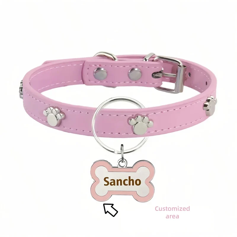 Collier Médaille Personnalisable Identification Chien