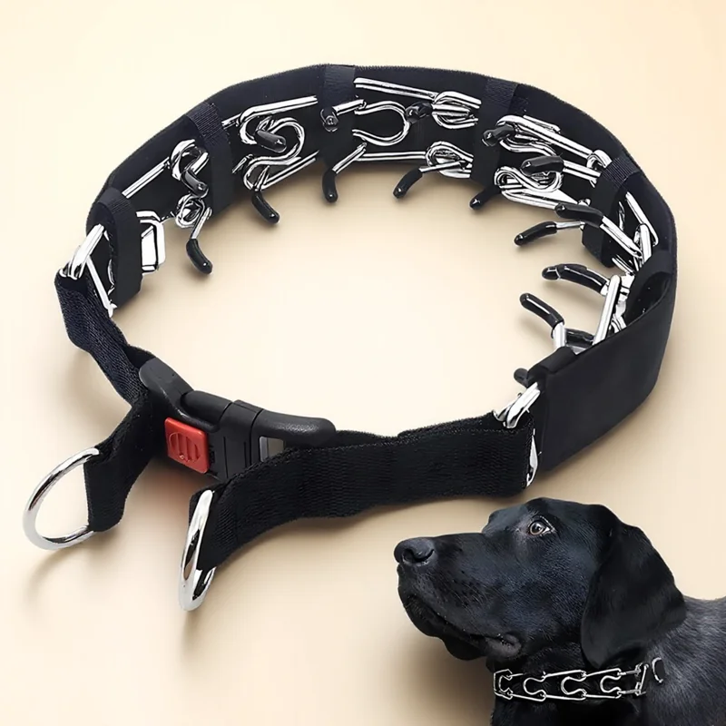 Collier à Pointes pour Chien Nylon Embouts Caoutchouc Boucle Rapide