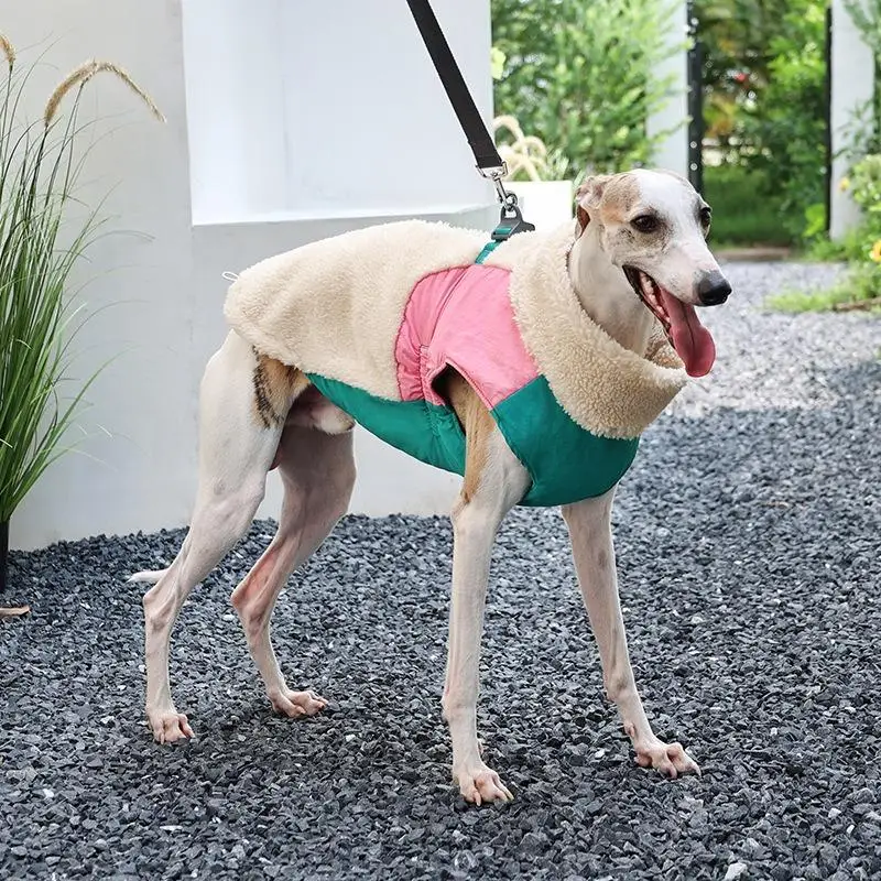Manteau Chien Hiver Polaire d'Agneau Coupe-Vent Anneau en D