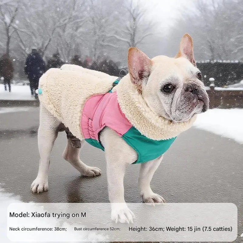 Manteau Chien Hiver Polaire d'Agneau Coupe-Vent Anneau en D