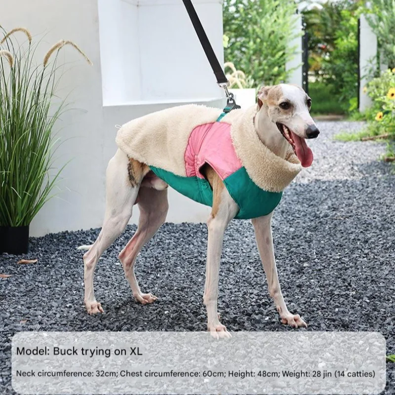 Manteau Chien Hiver Polaire d'Agneau Coupe-Vent Anneau en D