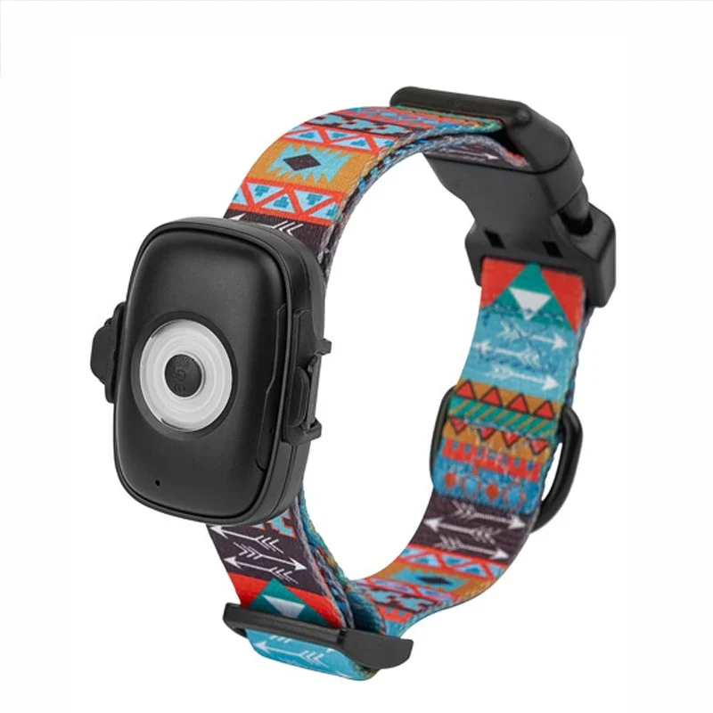 Collier GPS Chien 4G Alarme Anti-Perte Carte 1 An