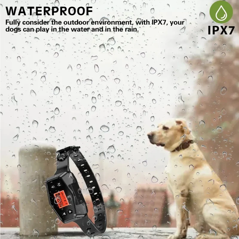 Clôture Électronique Sans Fil pour Chien GPS Rayon 900 m