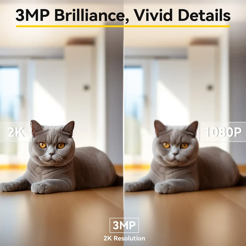 Caméra pour Chien 2K WiFi Double Bande Vision Nocturne