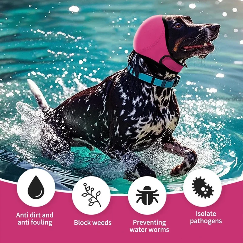 Protège-Oreilles Anti-Bruit Chien Bonnet Apaisant Orage