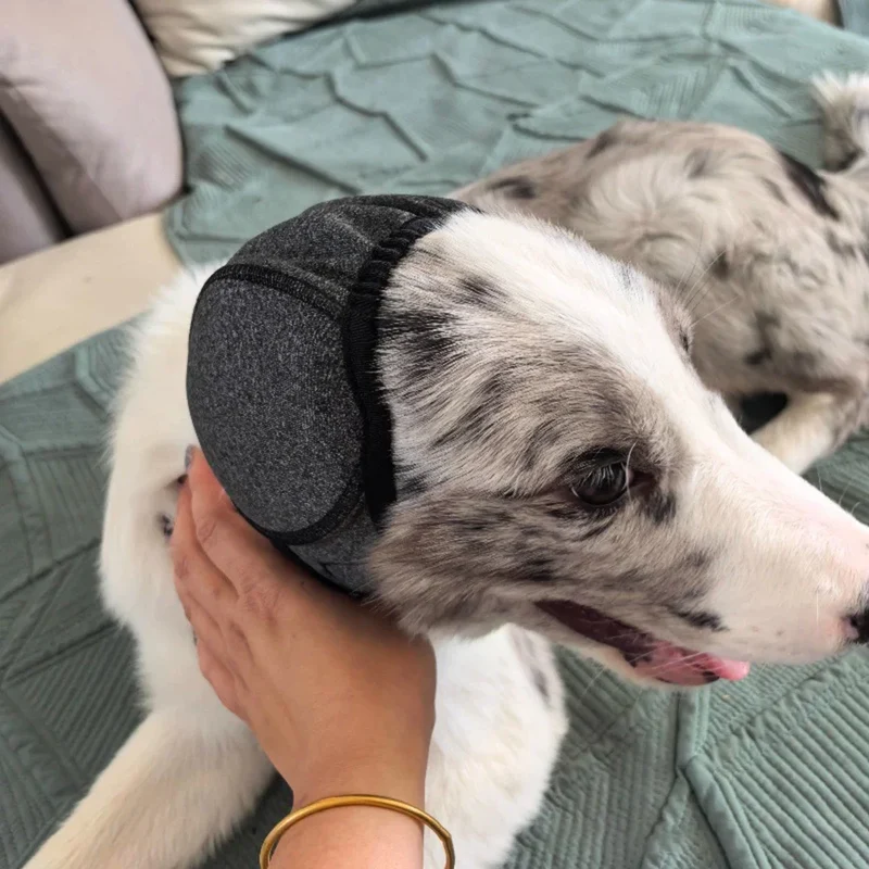 Protège-Oreilles Anti-Bruit Chien Bonnet Apaisant Orage