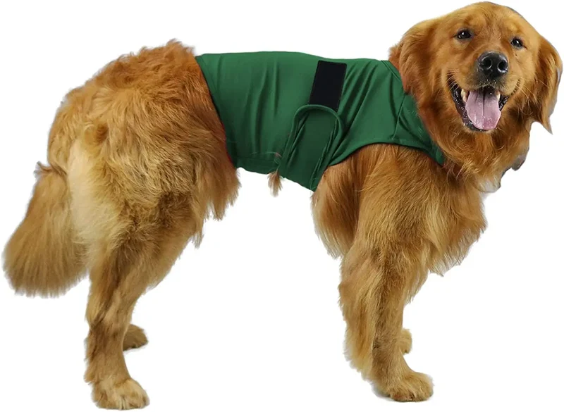 Vêtement Apaisant Anti-Anxiété Réglable Col Amovible Chien Voyage