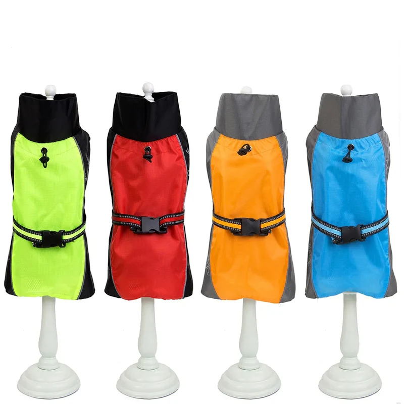 Manteau Imperméable Sport Bicolore Golden Retriever du S au 9XL