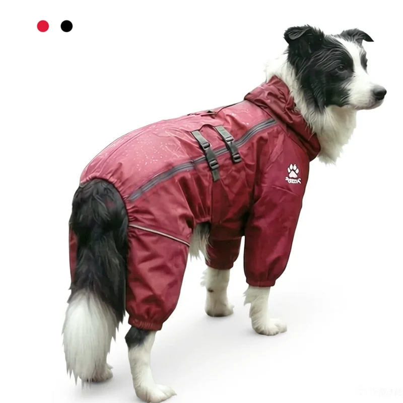 Manteau Imperméable Combinaison Intégrale Col Haut Border Collie