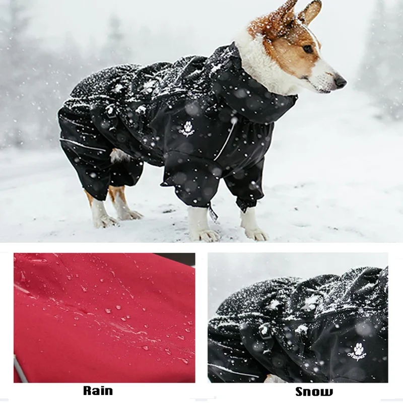 Manteau Imperméable Combinaison Intégrale Col Haut Border Collie