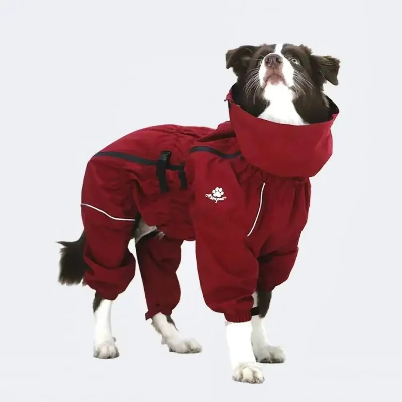 Manteau Imperméable Combinaison Intégrale Col Haut Border Collie