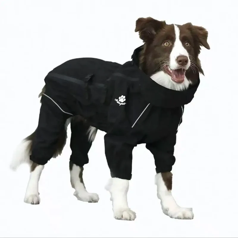 Manteau Imperméable Combinaison Intégrale Col Haut Border Collie