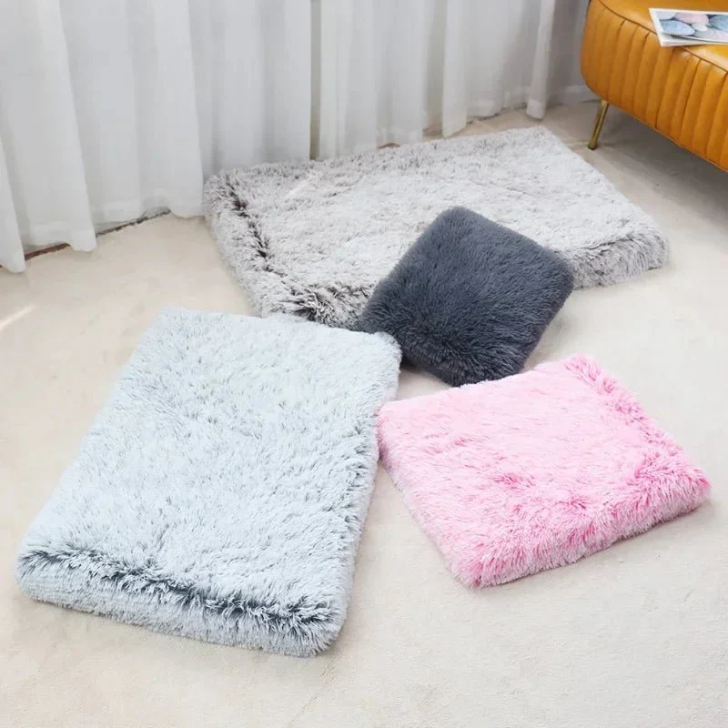 Tapis Moelleux Durable Gros Chien Coussin