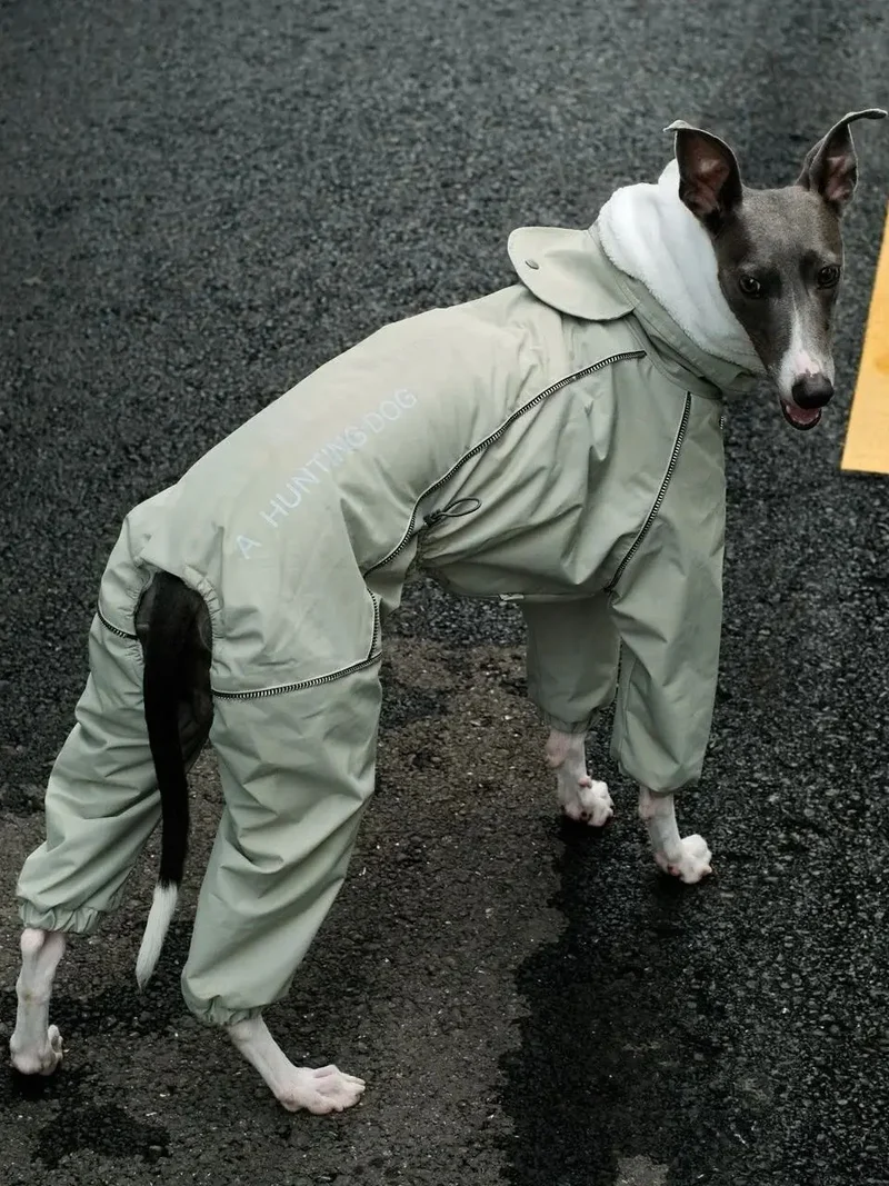 Combinaison Imperméable 4 Pattes Polaire pour Lévrier Italien