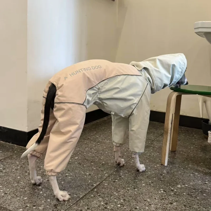 Combinaison Imperméable 4 Pattes Polaire pour Lévrier Italien