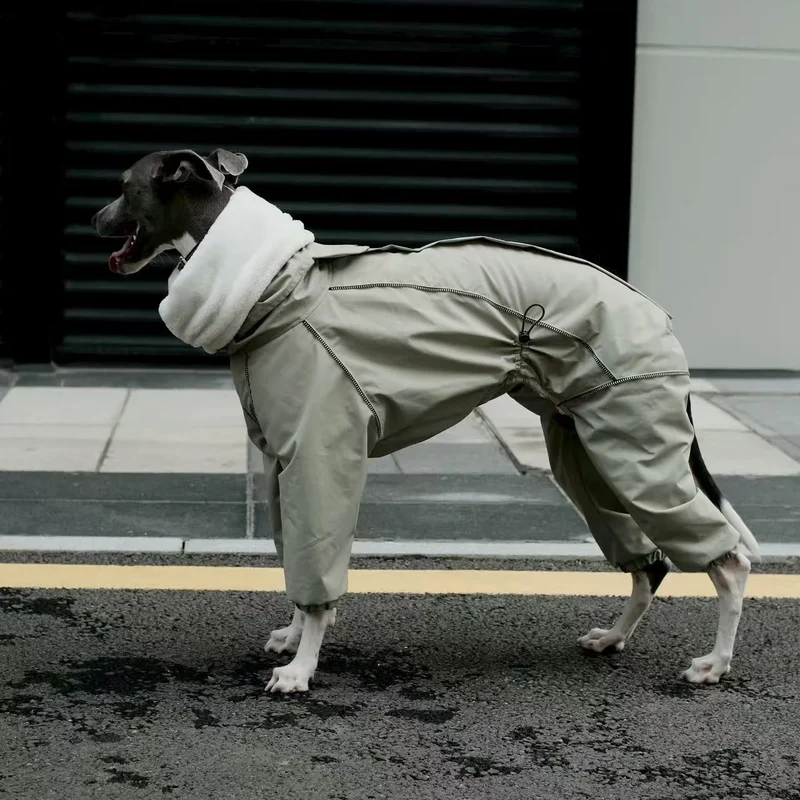 Combinaison Imperméable 4 Pattes Polaire pour Lévrier Italien