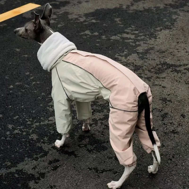 Combinaison Imperméable 4 Pattes Polaire pour Lévrier Italien