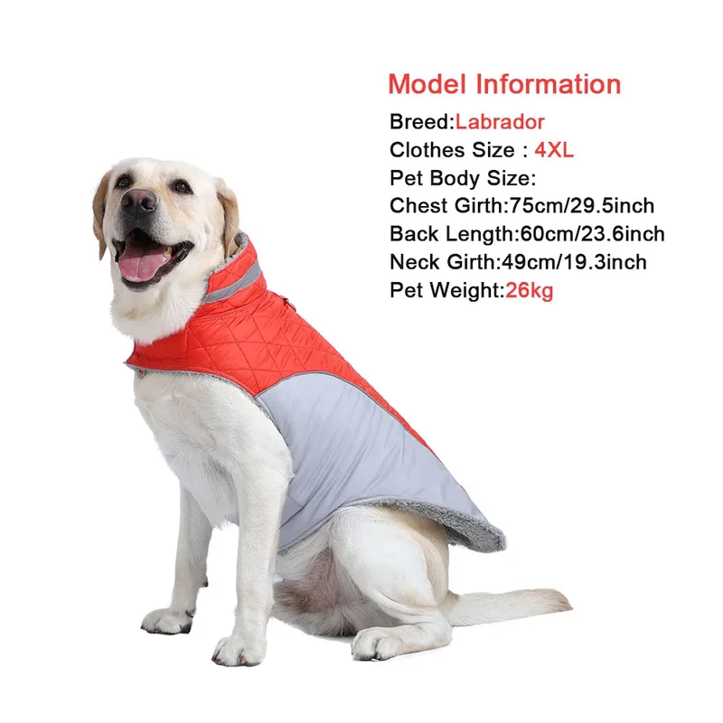 Manteau Imperméable Doublure Polaire Épaisse Col Haut Grand Chien