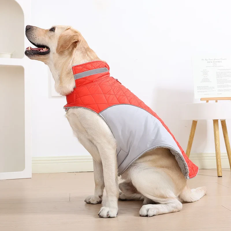 Manteau Imperméable Doublure Polaire Épaisse Col Haut Grand Chien