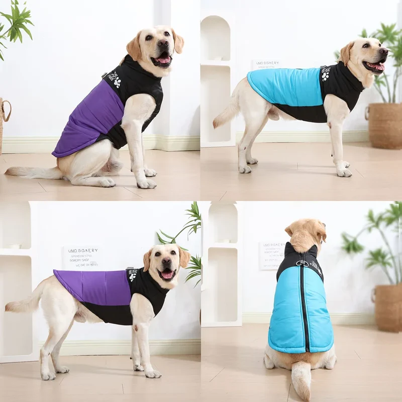 Doudoune Imperméable Zippée pour Grand Chien, 2XL à 6XL