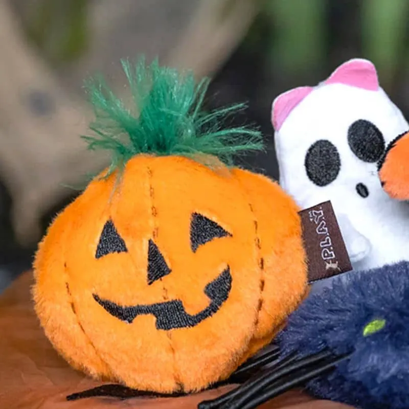 JOUET HALLOWEEN POUR CHAT À L’HERBE À CHAT - CITROUILLE ET FANTÔME 🎃👻