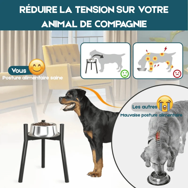 Support Gamelle Surélevée Design Gros Chien