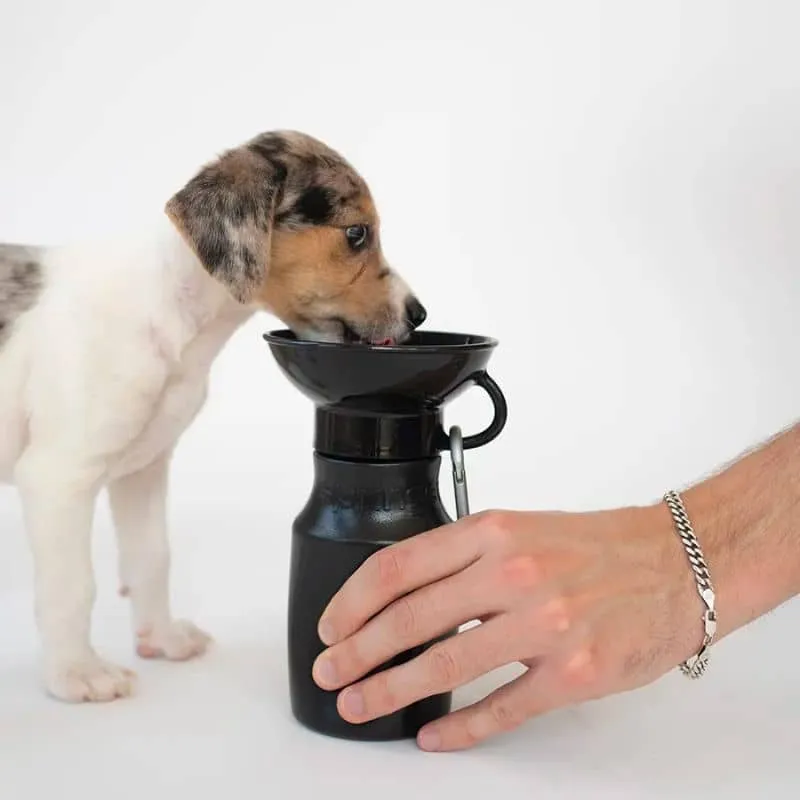 PETITE GOURDE PORTABLE POUR CHIEN AVEC RÉSERVOIR D'EAU - NOIR (TAILLE M - 440ML)