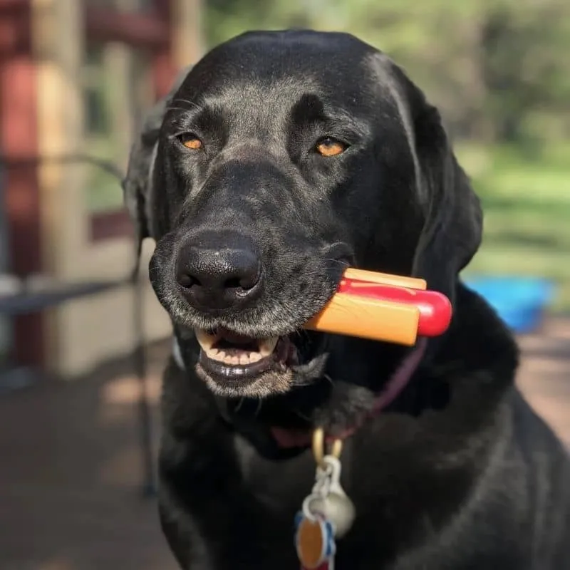 JOUET À MÂCHER POUR CHIEN - HOT DOG