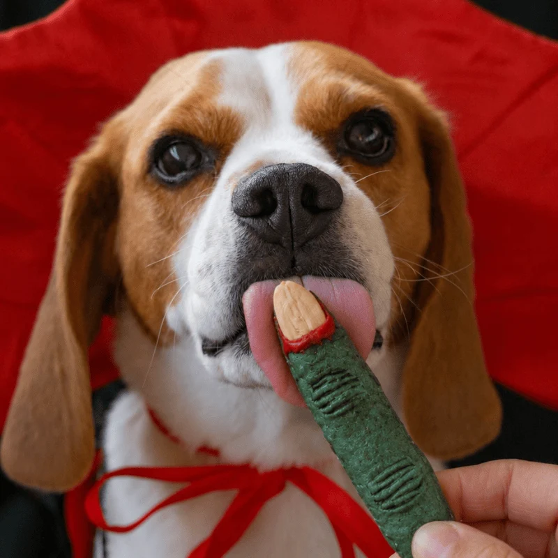 BISCUITS HALLOWEEN POUR CHIEN EN FORME DE DOIGTS DE SORCIÈRE 🧙‍♀️