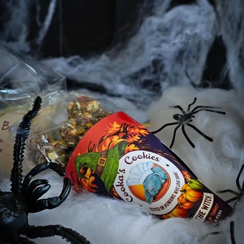 CORNET DE FRIANDISES HALLOWEEN POUR CHIEN - DINDE & CITROUILLE 🎃
