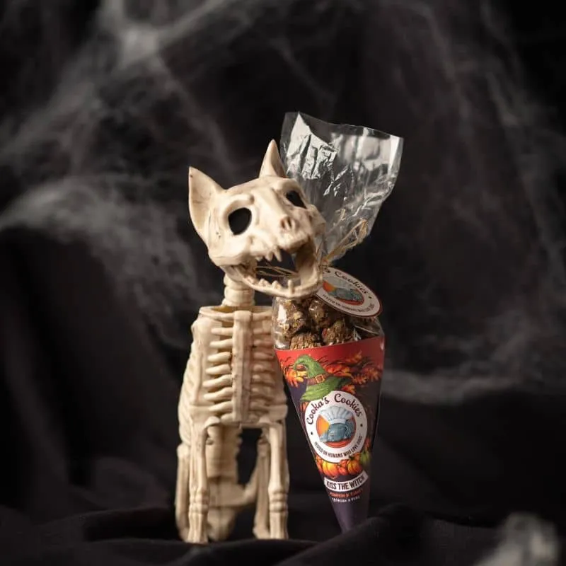 CORNET DE FRIANDISES HALLOWEEN POUR CHIEN - DINDE & CITROUILLE 🎃