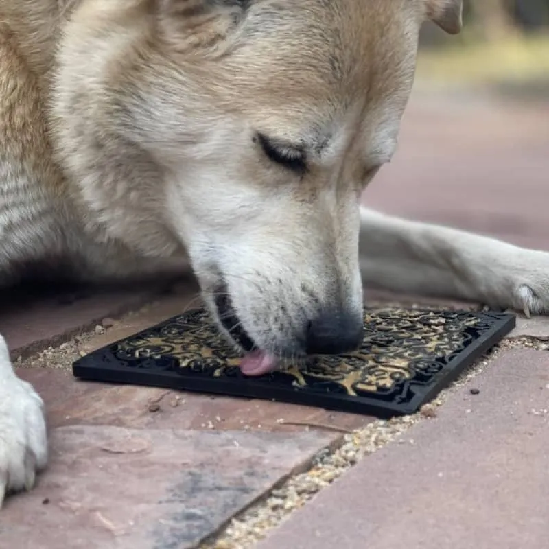 TAPIS DE LÉCHAGE ET D’OCCUPATION POUR CHIEN ET CHAT HALLOWEEN - MOTIF ZOMBIE