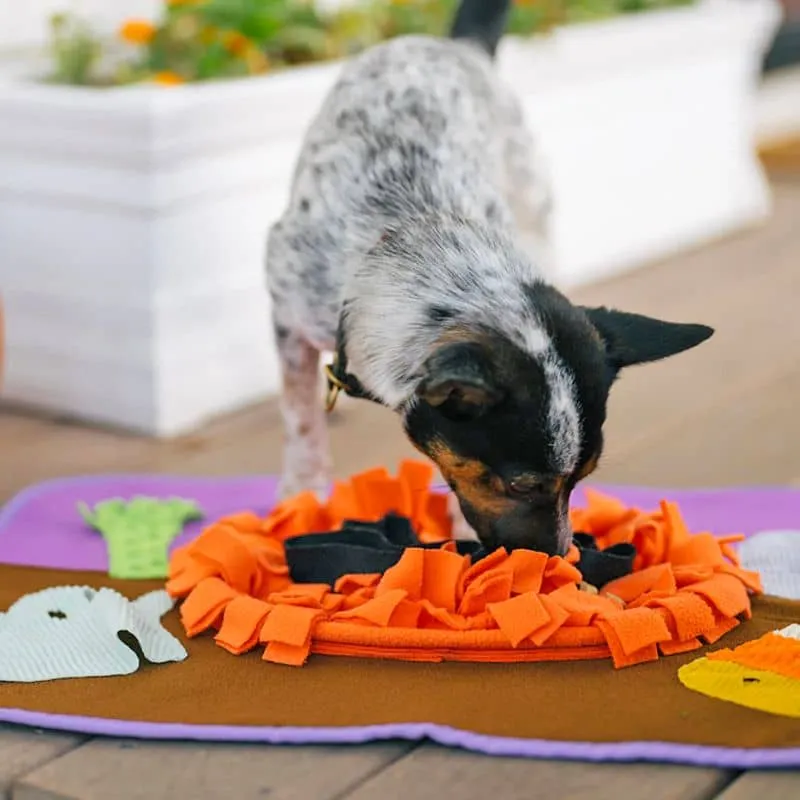 JEU D'OCCUPATION, TAPIS DE FOUILLE POUR CHIEN - HALLOWEEN 🎃🍬