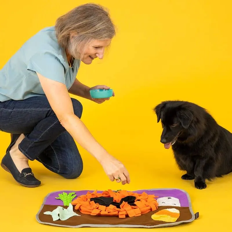 JEU D'OCCUPATION, TAPIS DE FOUILLE POUR CHIEN - HALLOWEEN 🎃🍬