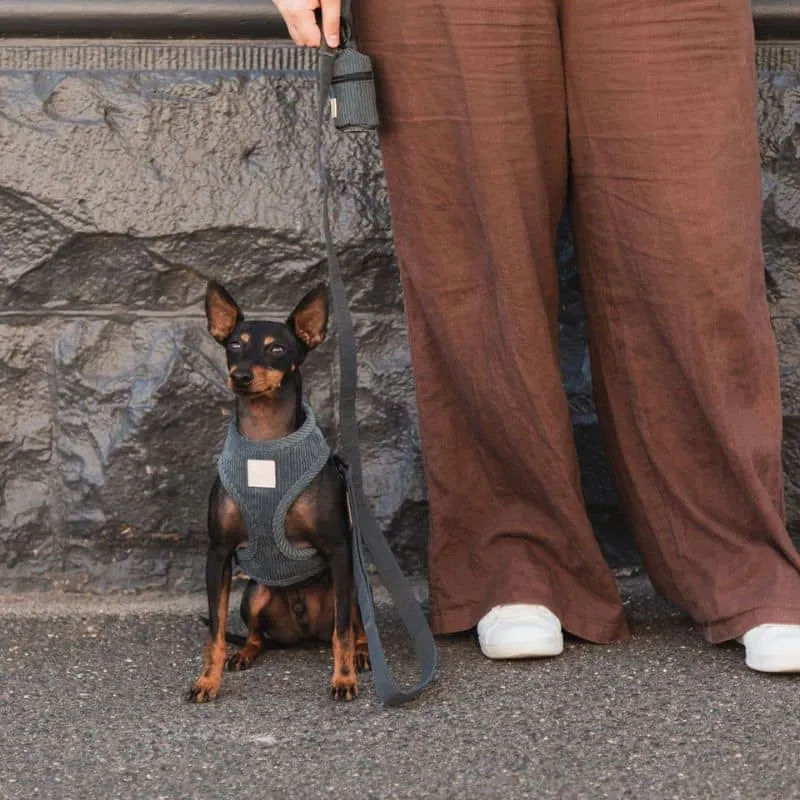 HARNAIS STEP IN POUR CHIEN EN VELOURS CÔTELÉ - GRIS ANTHRACITE OU BEIGE