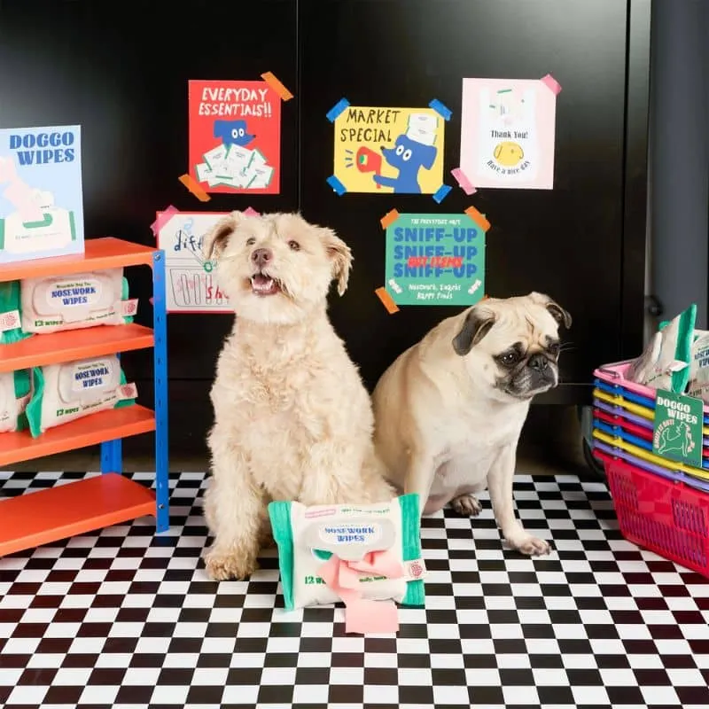 JEU D’OCCUPATION ET DE FOUILLE POUR CHIEN - LINGETTES