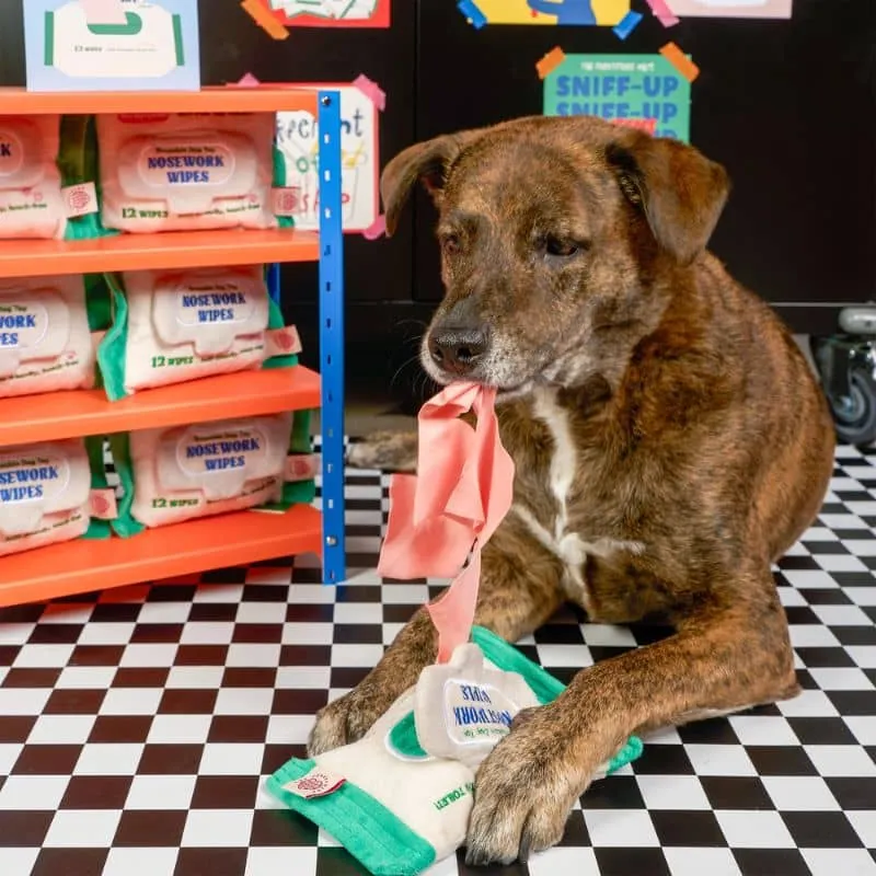 JEU D’OCCUPATION ET DE FOUILLE POUR CHIEN - LINGETTES
