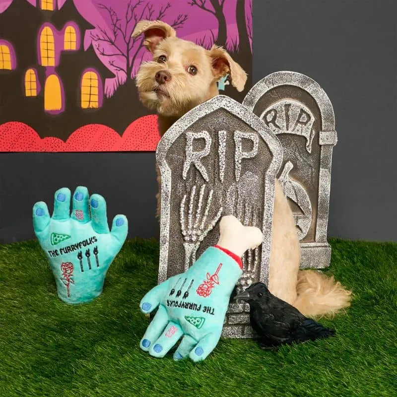JEU HALLOWEEN D’OCCUPATION ET DE FOUILLE POUR CHIEN - MAIN
