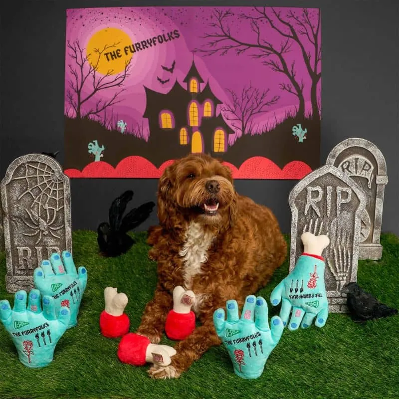 JEU HALLOWEEN D’OCCUPATION ET DE FOUILLE POUR CHIEN - MAIN