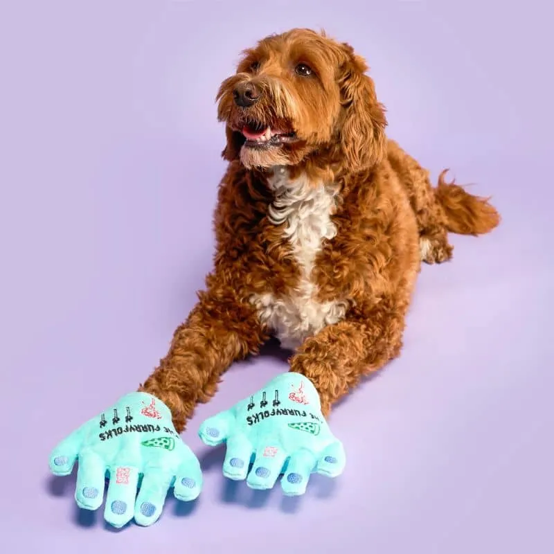 JEU HALLOWEEN D’OCCUPATION ET DE FOUILLE POUR CHIEN - MAIN